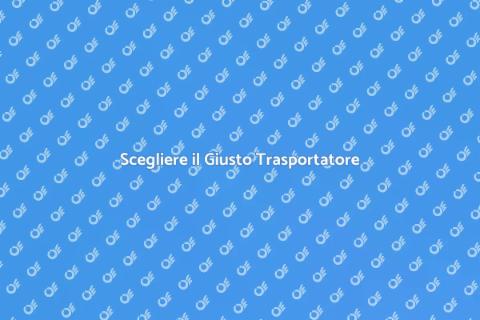 Trasportatori: Guida Completa ai Servizi