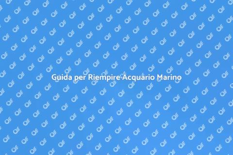Riempire Acquario di Acqua Salata