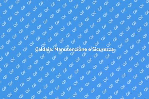 Manutenzione Caldaia con Idraulico