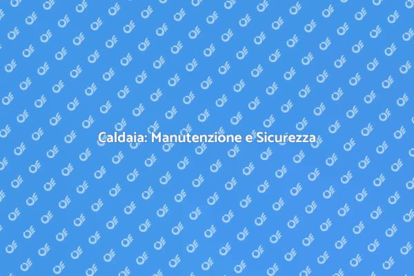 Ottimizza la Tua Caldaia con un Esperto