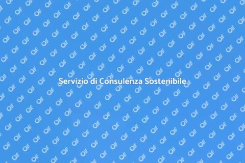 Consulenza per la Sostenibilità Ambientale