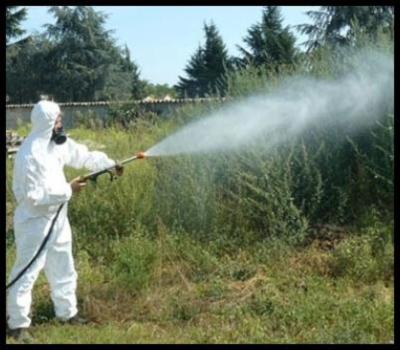 Mdm Consulenze e Servizi di Igiene Ambientale  - Foto 4