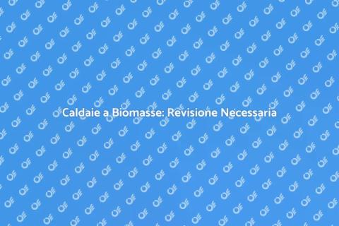 Revisione Caldaie a Biomasse