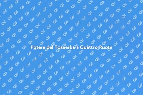 Tosaerba a Quattro Ruote Motrici