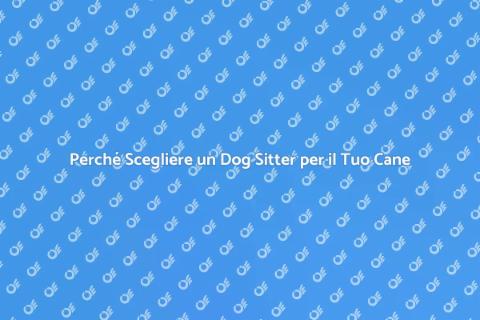 Assumere un Dog Sitter per il Tuo Fido