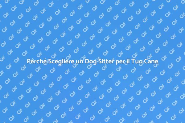 Il Miglior Dog Sitter per il Tuo Fido