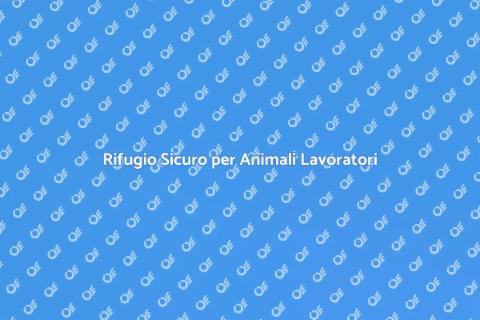 Pensione per Animali Impiegati