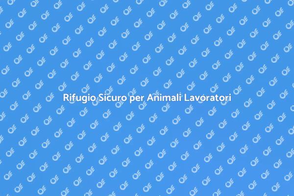Benessere per i Tuoi Animali Impiegati