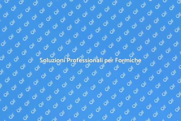 Disinfestazione Efficace delle Formiche