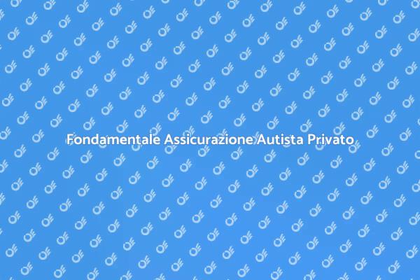 Sicurezza per il Tuo Autista Privato