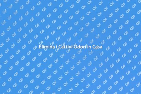 Rimozione Odori per Casa Fresca