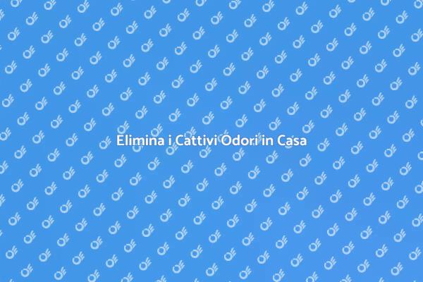 Rimuovi Odori Sgradevoli Oggi Stesso
