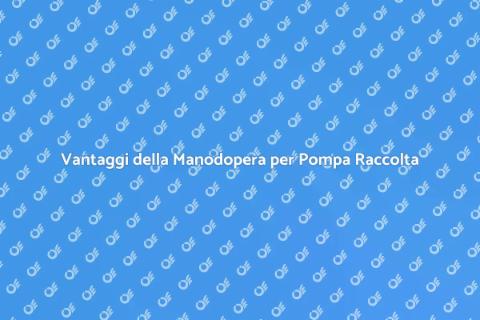 Manodopera per Installazione Pompa Raccolta