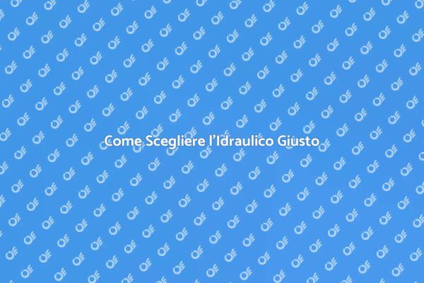 L'Idraulico Perfetto per Te