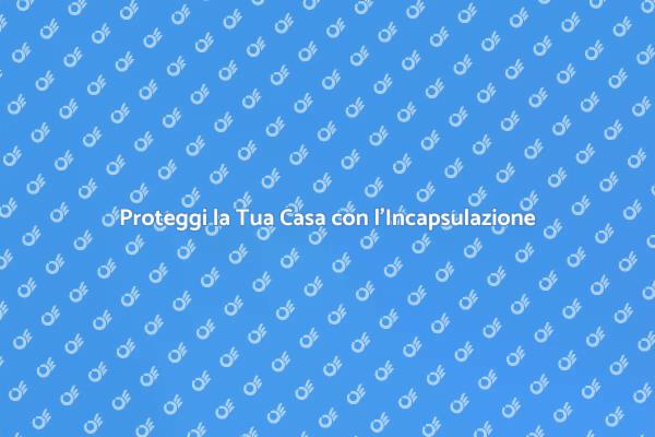 Incapsulazione: Un Passo Verso la Sicurezza
