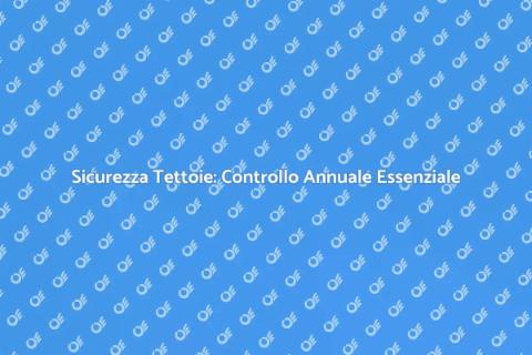 Controllo Annuale Barriere di Tettoie
