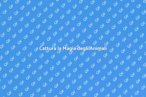 Fotografia di Animali: Cattura la Bellezza