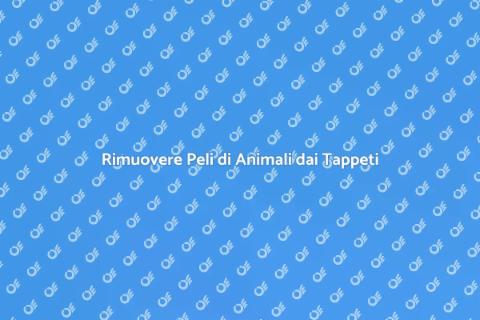 Pulire Tappeti con Peli di Animali