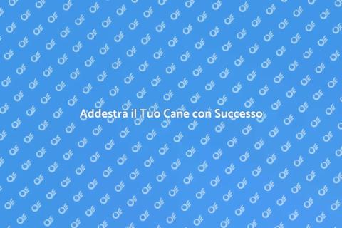 Corso di Addestramento per Cani