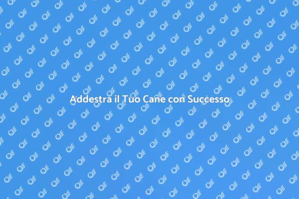 Il Tuo Cane Merita un Buon Addestramento