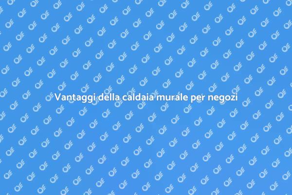 Perché scegliere una caldaia murale?