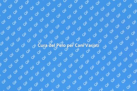 Toelettatura Cani Pelo Variato