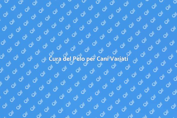 La Toelettatura Ideale per Cani