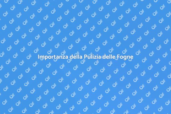 Pulizia Fogne: Guida Essenziale