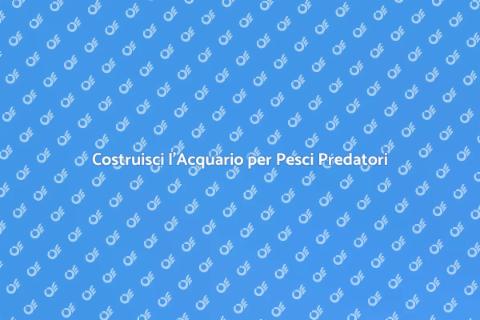Acquario Perfetto per Pesci Predatori