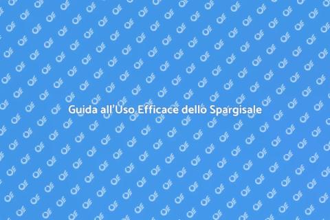 Corretto Utilizzo Spargisale in Inverno