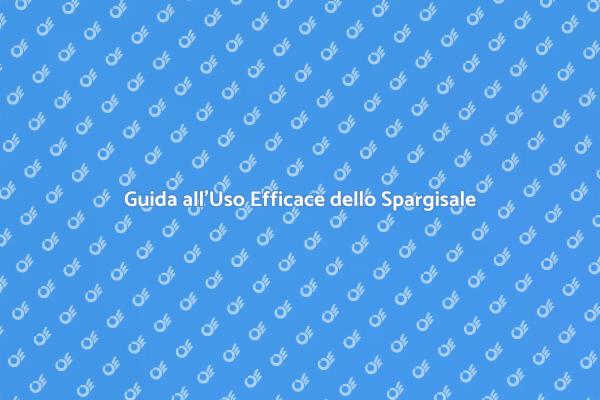 Utilizzo Sicuro degli Spargisale in Inverno