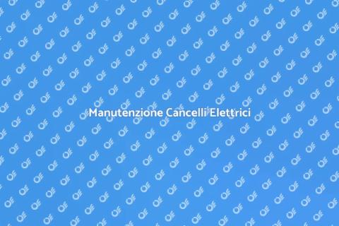 Riparazione Cancelli Elettrici