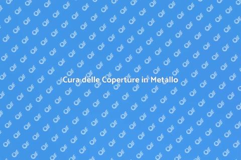 Manutenzione Coperture Industriali