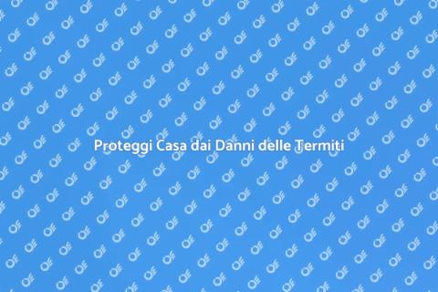 Controllo Danni Termiti in Casa
