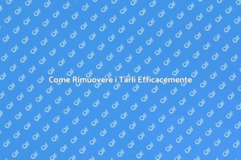 Rimozione Tarli: Guida Completa