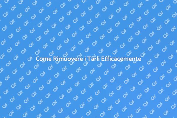 Rimuovi i Tarli e Salva il Tuo Legno