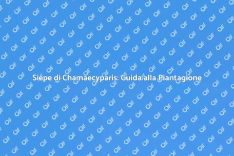 Piantare Siepe di Chamaecyparis