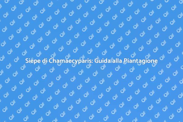 Come Piantare la Siepe di Chamaecyparis
