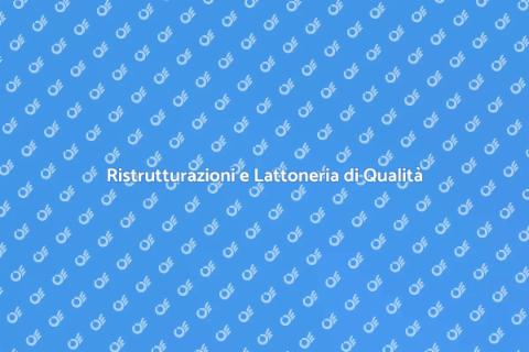 Lattoneria: Servizi Professionali a Domicilio