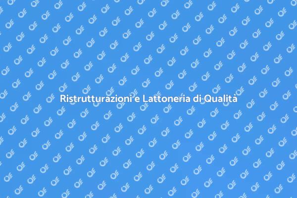Lattoneria: Eccellenza per la Tua Casa