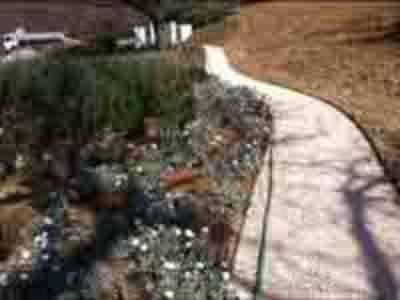 Spurghi Green Service  - Foto 4