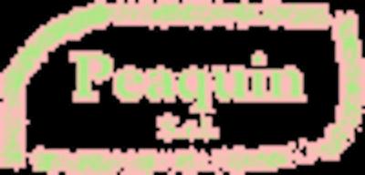 Peaquin Srl  - Foto 1