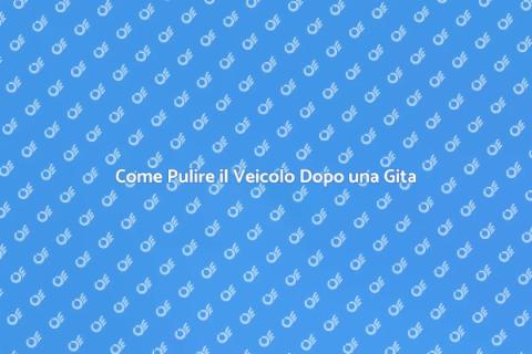 Pulizia Veicolo Dopo Gita in Montagna