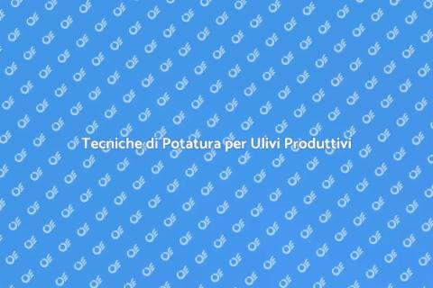 Potatura dell'Olivo: Arte e Scienza