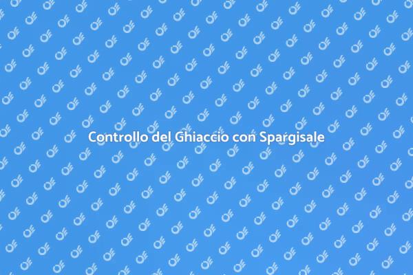 Migliora la Sicurezza con Spargisale