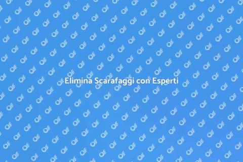 Disinfestazione Scarafaggi Professionale