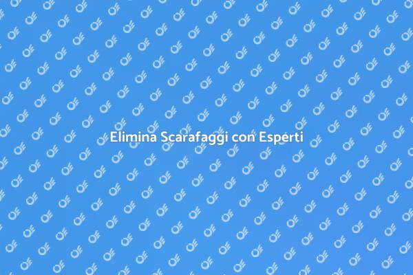 Sconfiggi i Scarafaggi Oggi