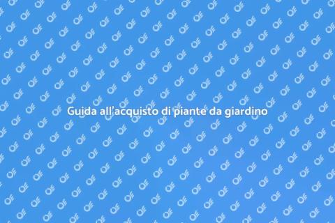 Acquistare piante da giardino