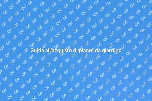 Crea il tuo angolo di paradiso