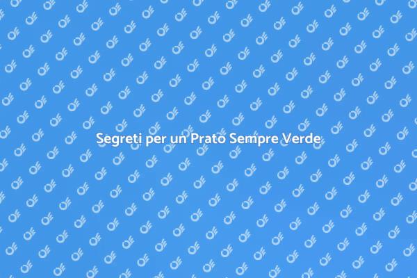 Come Avere un Prato Sano e Rigoglioso